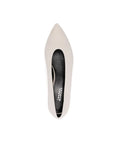 Isabel Marant Ebisa Pumps