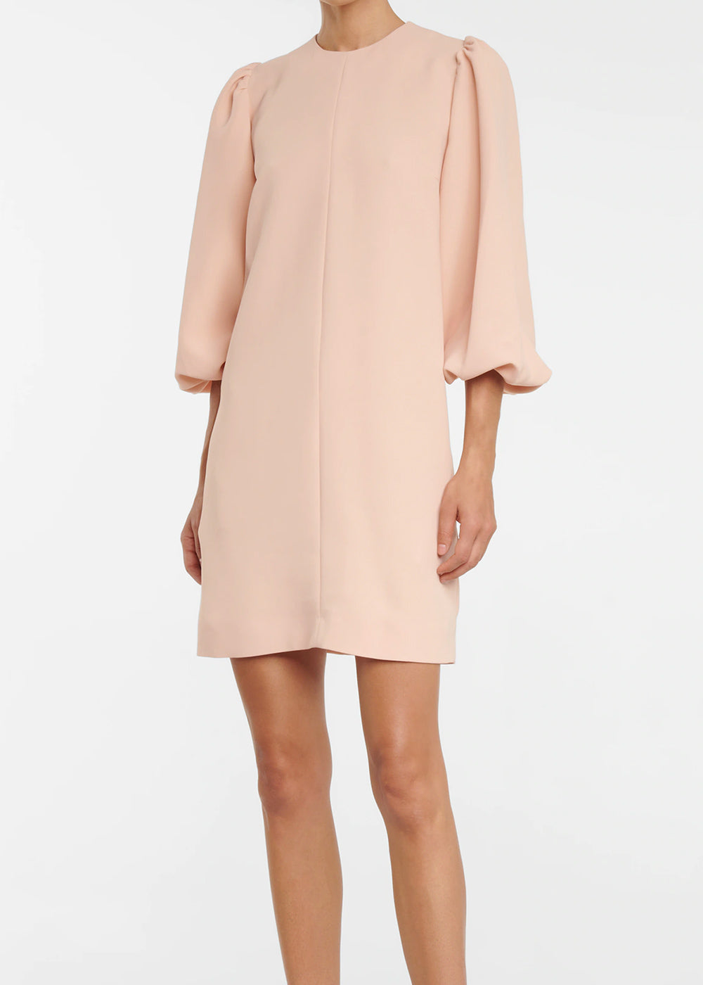 VVB Blouson Sleeve Shift Dress