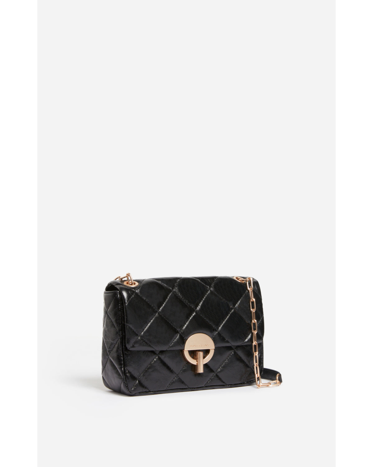 Vanessa Bruno Grand Moon Bag