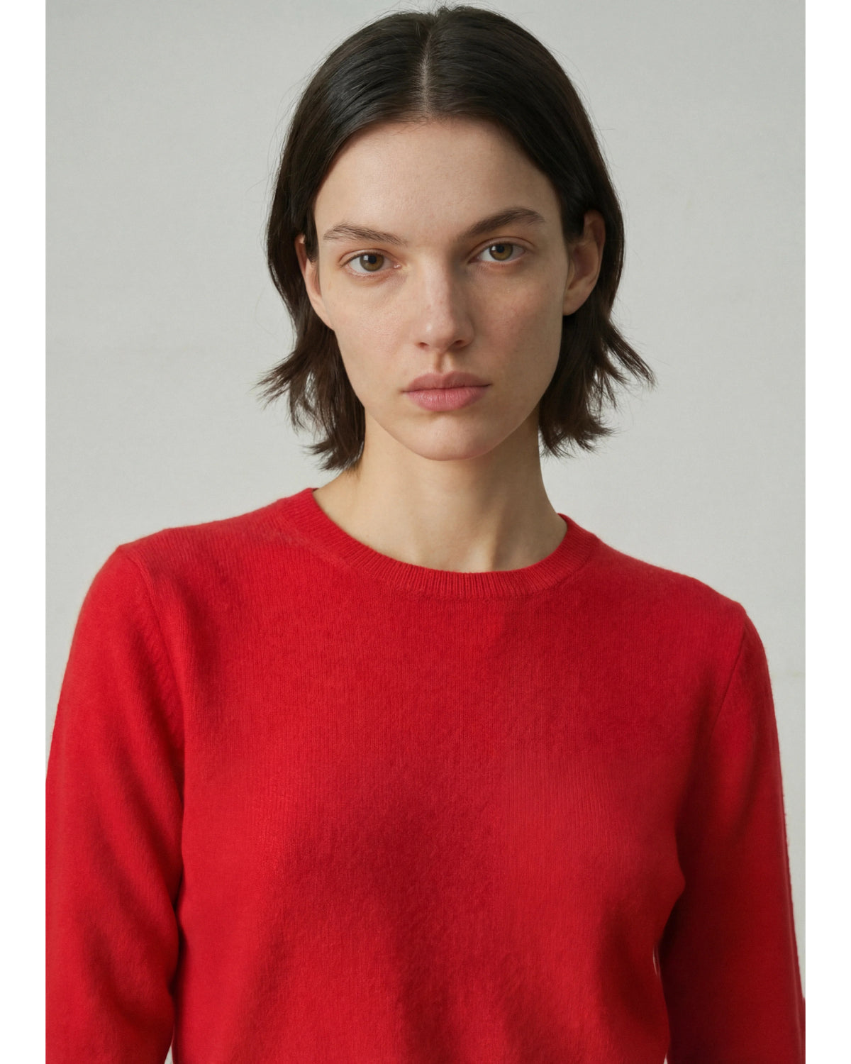 ALEGER 407 Cashmere Classic Crew