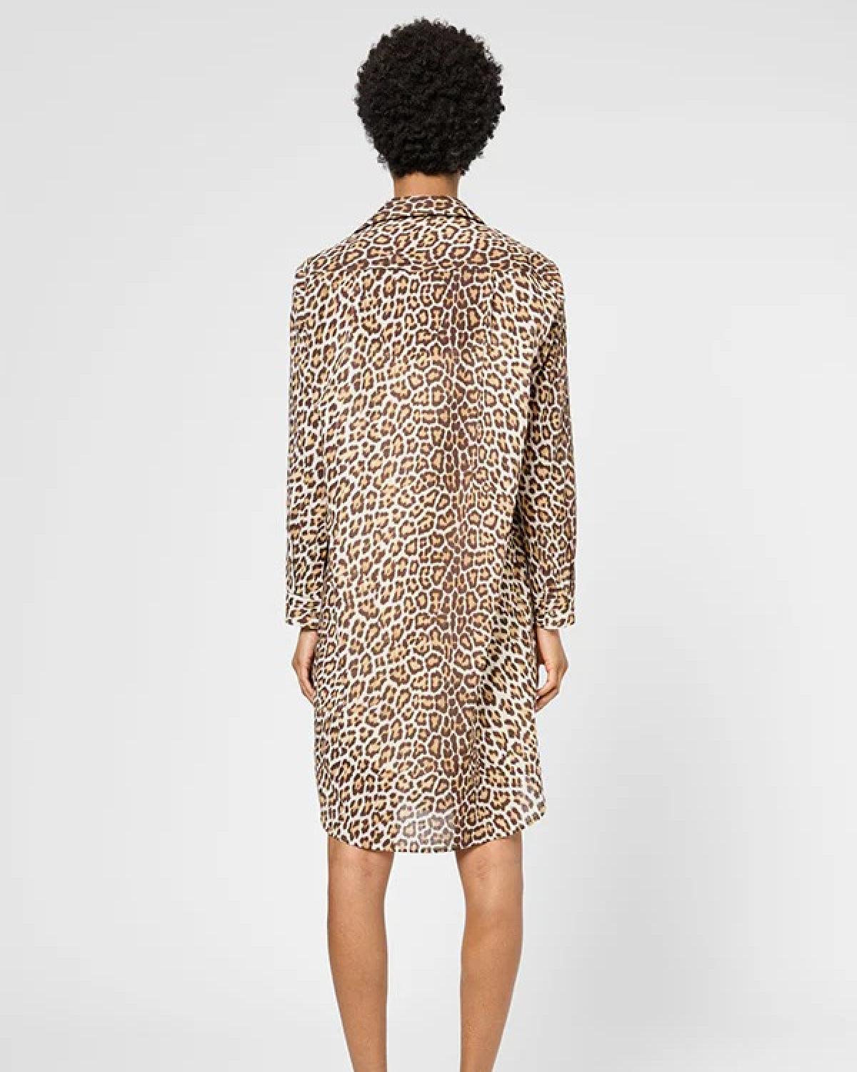 Gerard Darel Pina Leopard Dress