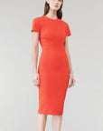 Victoria Beckham Fitted T-Shirt Dress